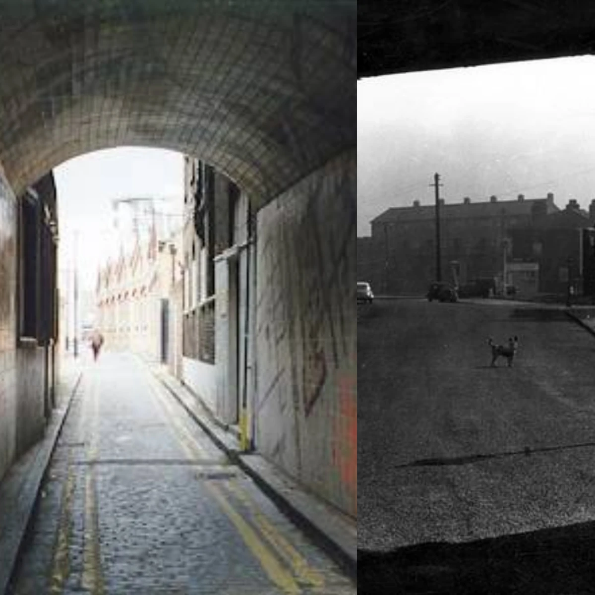 Polperro Lane Jack the Shadow Wiki Fandom