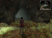 Swamp Cave Entrance