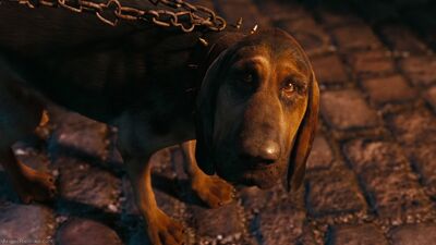 Alice-disneyscreencaps com-3204