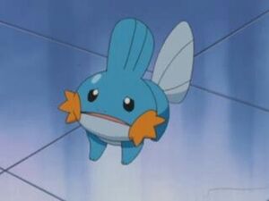 Little Mudkip