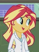 Sunset as a scientist of magic