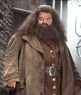 RubeusHagrid