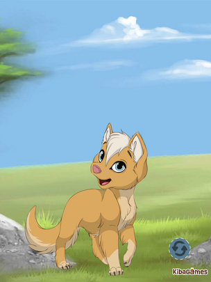 Wolf puppy