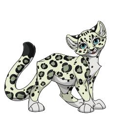 OviPets-Snow-Leopard