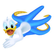 Donald (Squid)