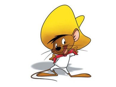 Mascot of Speedy Gonzales, the fastest mouse in Sizes L (175-180CM)