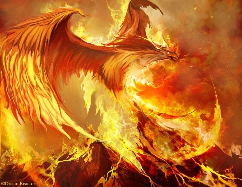 The Phoenix | Jaden's Adventures Wiki | Fandom