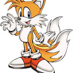 Tails perfil, Wiki