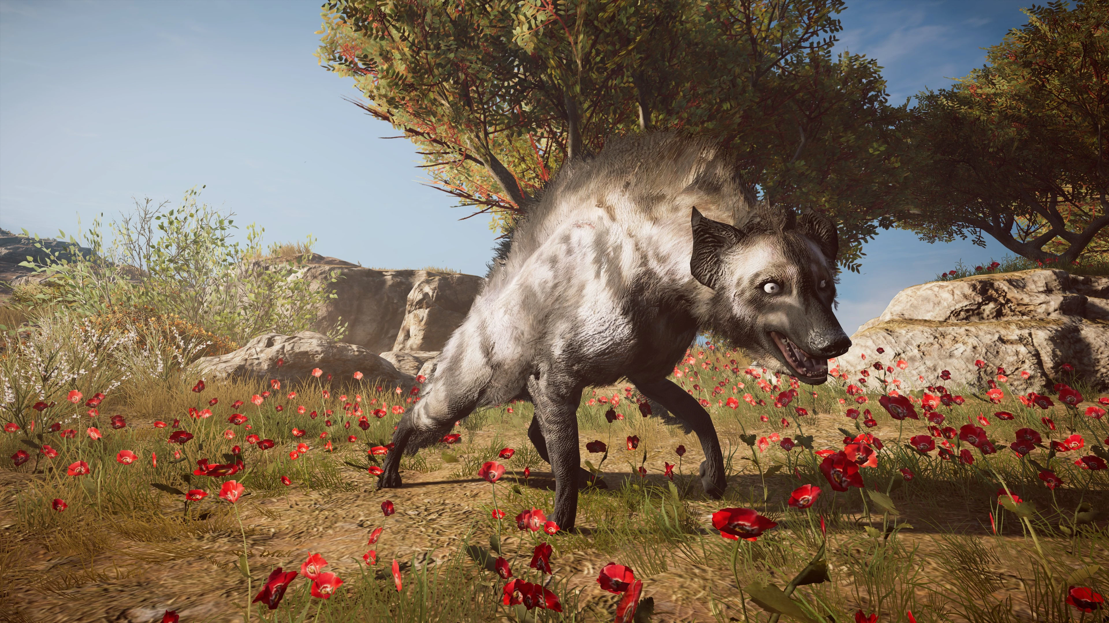 Krokottas Hyena | Jaden's Adventures Wiki | Fandom