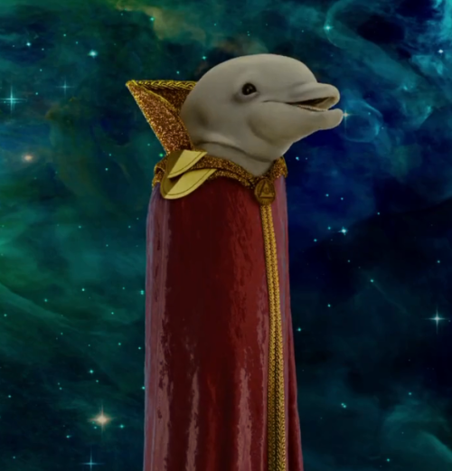 Bubbles the Dolphin | Jaden's Adventures Wiki | Fandom Bubbles the Dolphin | Jaden's Adventures Wiki | Fandom