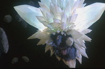 Spacegodzillaflying.jpg