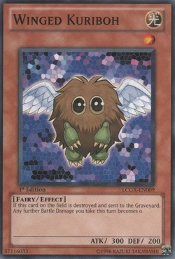 Jaden Yuki's deck | Jaden's Adventures Wiki | Fandom Jaden Yuki's deck | Jaden's Adventures Wiki | Fandom