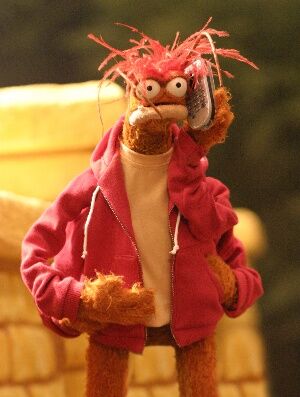 pepe the prawn plush