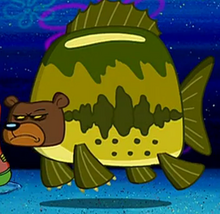 Sea Bear