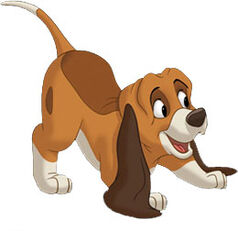 Copper as a Pup