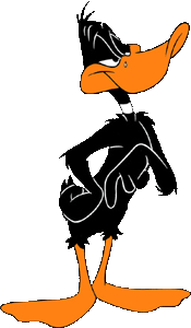 Daffy 300