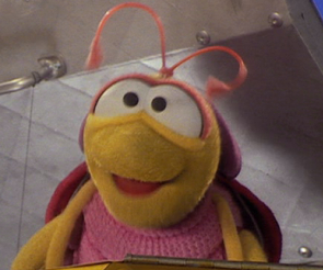Bug Elmo