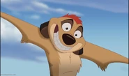 Timon in The Lion King 1 1/2 (2004)