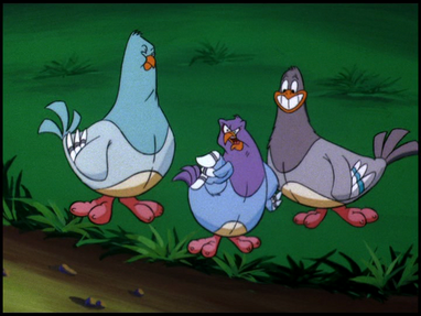Pigeons2