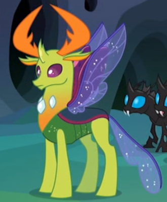 Thorax