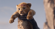 Baby Simba from Remake