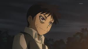 SelimBradley FMAB