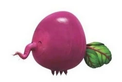 Wildebeet | Jaden's Adventures Wiki | Fandom