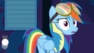 Rainbow Dash in her Wonderbolt outfit.