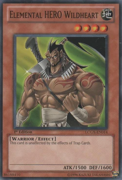 Jaden Yuki's deck | Jaden's Adventures Wiki | Fandom Jaden Yuki's deck | Jaden's Adventures Wiki | Fandom