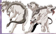 Cerberus settei