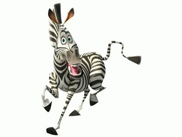 Marty zebra as chris rock dreamworks africa hi-res stock