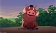 Friends stick together to the end: Timon and Pumbaa together.
