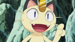 Meowth best wishes 21