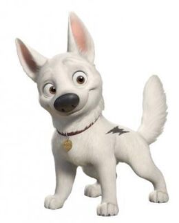 Bolt-Company-bolt-the-dog-11564376-321-400