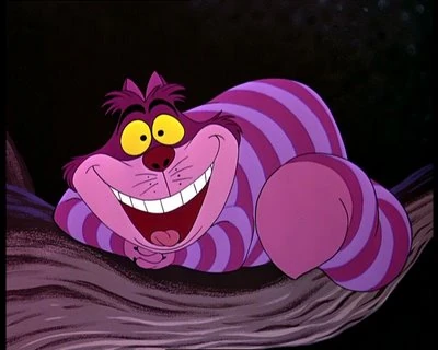 Cheshire Cat | Jaden's Adventures Wiki | Fandom