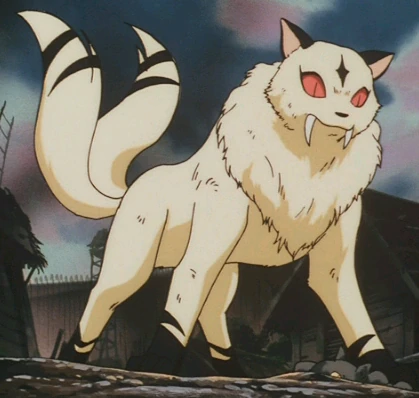 Kirara | Jaden's Adventures Wiki | Fandom