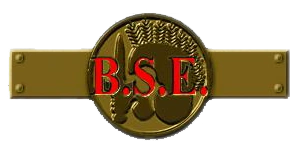BSElogo