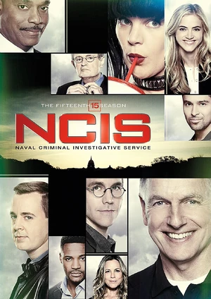 Season 15 (NCIS) | JAG Spawned Wiki | Fandom
