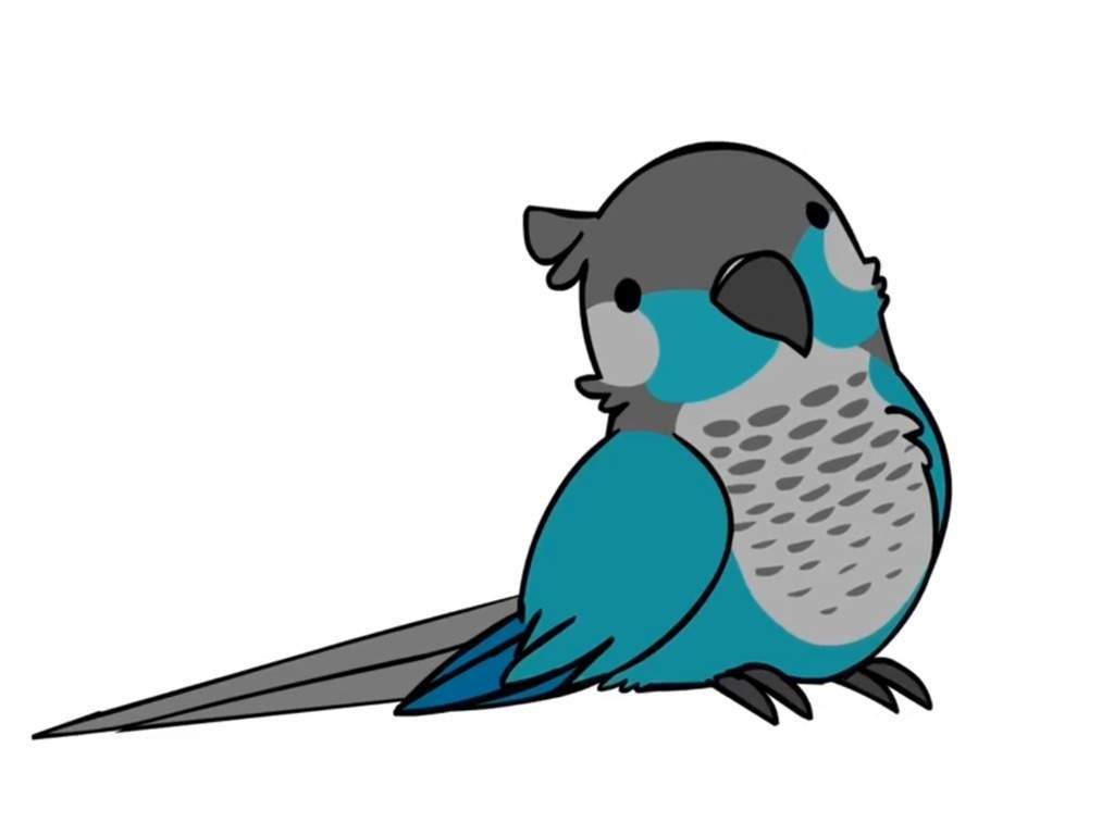 Melissa on X: I drew Jaiden's pet bird, Ari, from @JaidenAnimation !! Ari  is a beautiful bird with such an adorable personality! He reminds me in  some ways of my peach-faced lovebird
