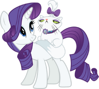 Rarity-rarity-33199811-900-811