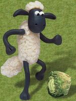 Shaun-n-friends-shaun-the-sheep-9445337-391-521