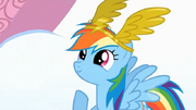 Rainbow-Dash-rainbow-dash-28279578-639-360 (1)