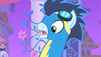 Soarin-mlp-fim-soarin-30605884-608-344