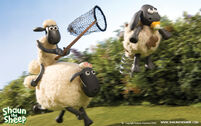Shaun-the-sheep-shaun-the-sheep-30770586-1680-1050