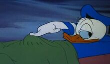DONALD.jpg