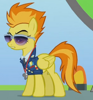 Spitifire sem a roupa de wonderbolt com a roupa de treinador.