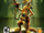 Daxter (game)