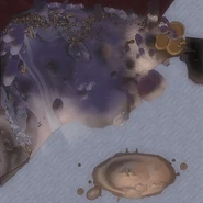 A map of Pirate's cove.