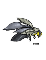 Drifter concept art