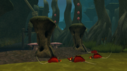 Boggy Swamp 3